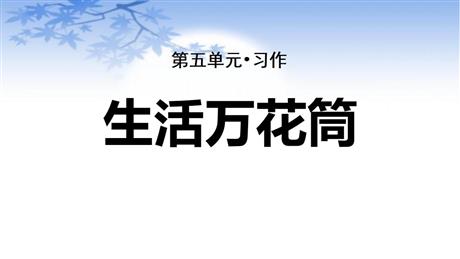 《生活万花筒》PPT教学课件