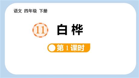 《白桦》PPT免费课件(第1课时)