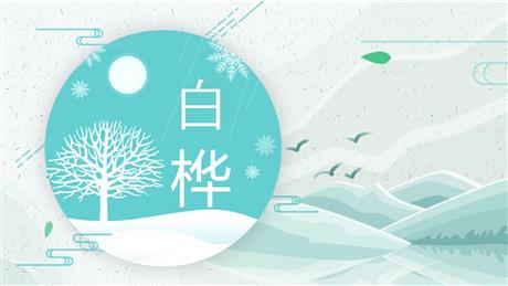 《白桦》PPT教学课件下载