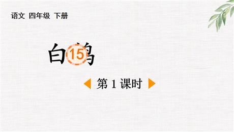 《白鹅》PPT免费课件(第1课时)
