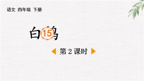 《白鹅》PPT免费课件(第2课时)