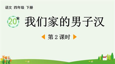 《我们家的男子汉》PPT下载(第2课时)