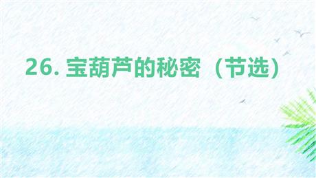 《宝葫芦的秘密》PPT优秀课件下载