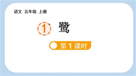 《白鹭》PPT课件下载(第1课时)
