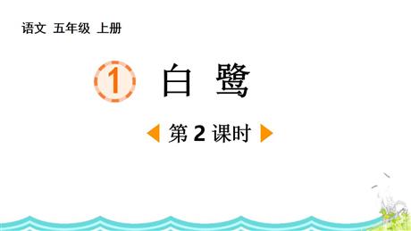 《白鹭》PPT免费课件(第2课时)