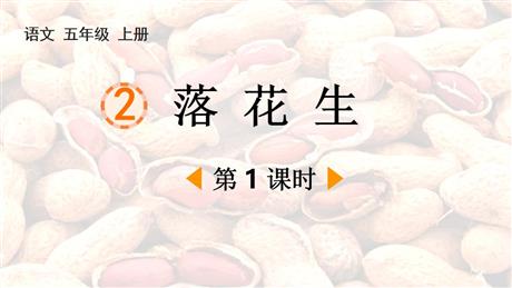 《落花生》PPT免费课件(第1课时)