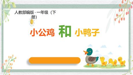 《小公鸡和小鸭子》PPT教学课件下载