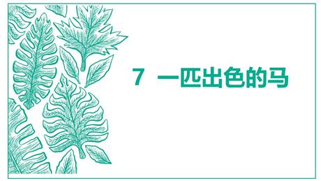 《一匹出色的马》PPT免费课件下载