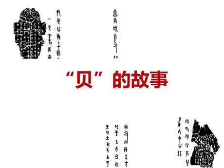 《“贝”的故事》PPT精品课件下载