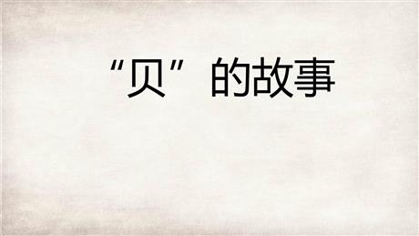 《“贝”的故事》PPT优质课件下载