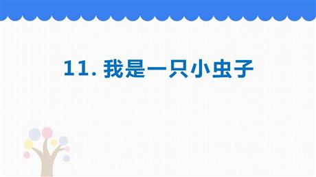 《我是一只小虫子》PPT精品课件下载