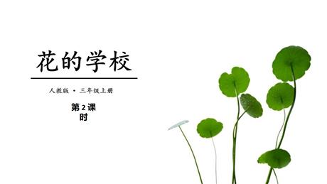 《花的学校》PPT教学课件(第2课时)