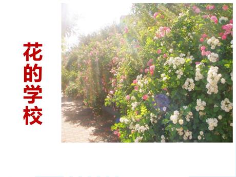 《花的学校》PPT课文课件下载