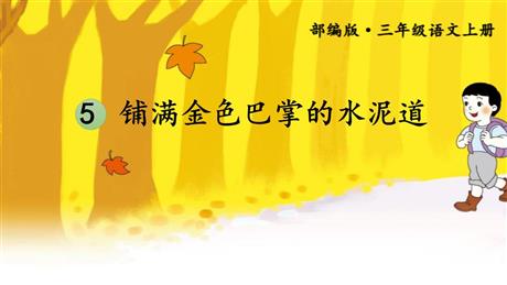 《铺满金色巴掌的水泥道》PPT优秀课件下载