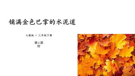 《铺满金色巴掌的水泥道》PPT免费课件(第2课时)