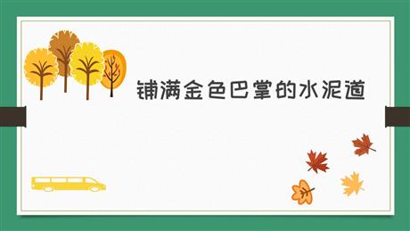 《铺满金色巴掌的水泥道》PPT免费课件下载