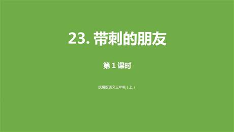 《带刺的朋友》PPT下载(第1课时)