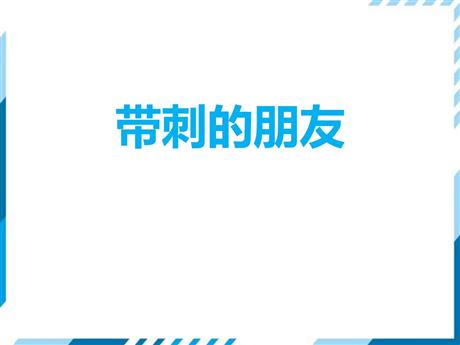 《带刺的朋友》PPT优质课件