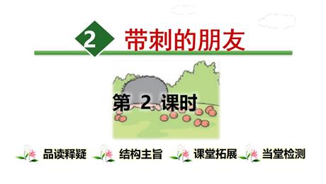 《带刺的朋友》PPT教学课件(第2课时)