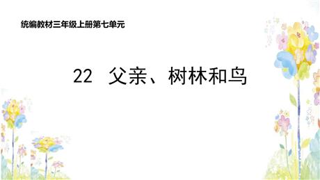 《父亲、树林和鸟》PPT精品课件下载