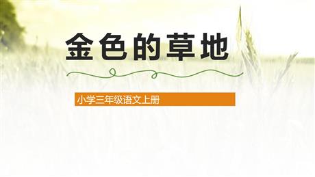 《金色的草地》PPT精品教学课件