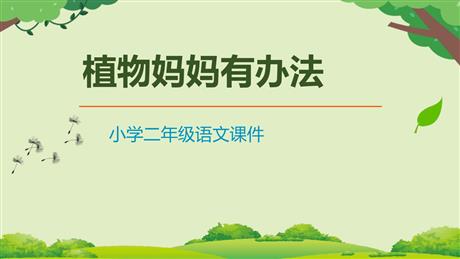 《植物妈妈有办法》PPT精品教学课件下载