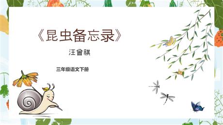 《昆虫备忘录》PPT优质课件下载