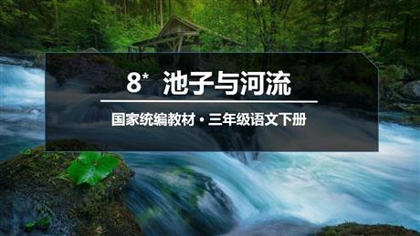 《池子与河流》PPT精品课件下载