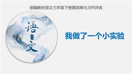《我做了一项小实验》PPT优质课件