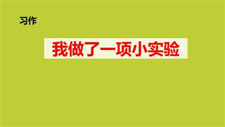 《我做了一项小实验》PPT精品课件下载