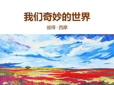 《我们奇妙的世界》PPT精品课件下载