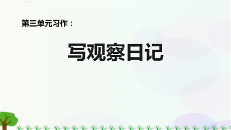 《写观察日记》PPT教学课件