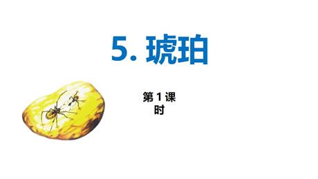 《琥珀》PPT教学课件(第1课时)