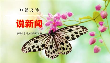 《说新闻》PPT优质课件下载