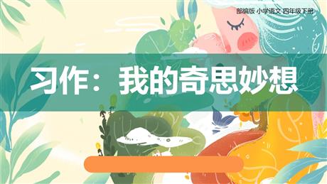 《我的奇思妙想》PPT优质课件