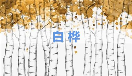 《白桦》PPT课文课件