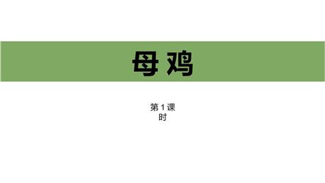 《母鸡》PPT课件下载(第1课时)