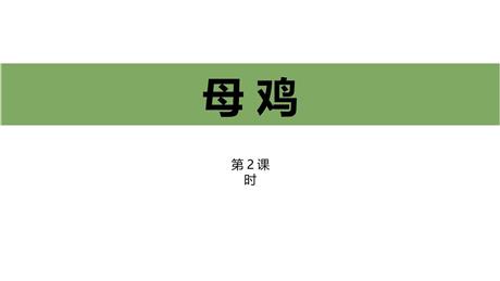 《母鸡》PPT课件下载(第2课时)