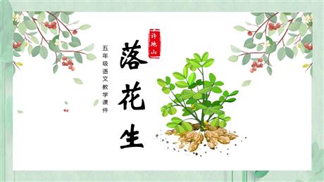《落花生》PPT优质教学课件