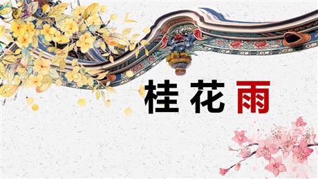 《桂花雨》PPT精品教学课件