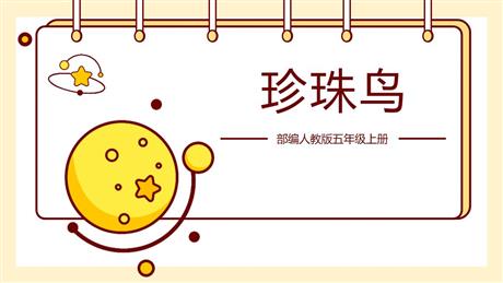 《珍珠鸟》PPT优质教学课件