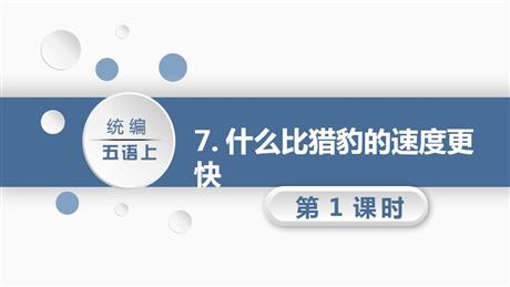 《什么比猎豹的速度更快》PPT教学课件(第1课时)