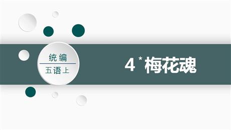 《梅花魂》PPT精品教学课件