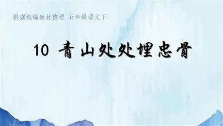 《青山处处埋忠骨》PPT教学课件