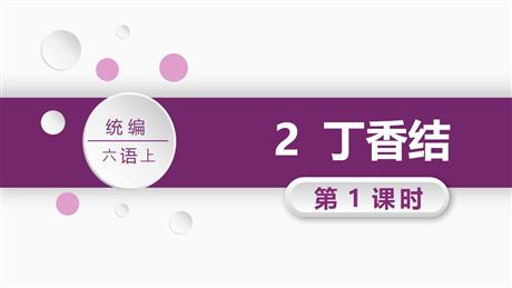 《丁香结》PPT教学课件(第1课时)