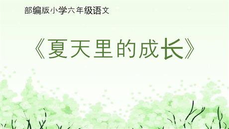 《夏天里的成长》PPT精品课件下载