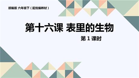 《表里的生物》PPT下载(第1课时)