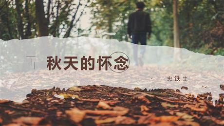 《秋天的怀念》PPT精品教学课件