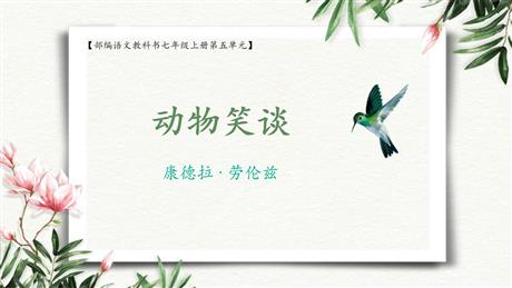 《动物笑谈》PPT优质课件下载