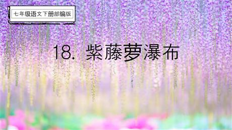 《紫藤萝瀑布》PPT优秀课件下载